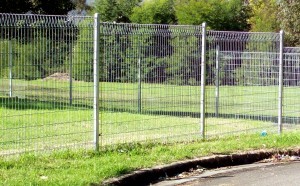 Backyard Weldmesh Fencing