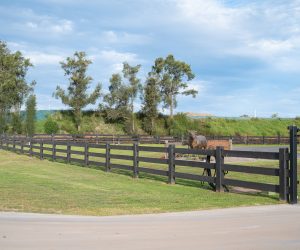 Treated Pine 3 Rail Rural Fence Painted